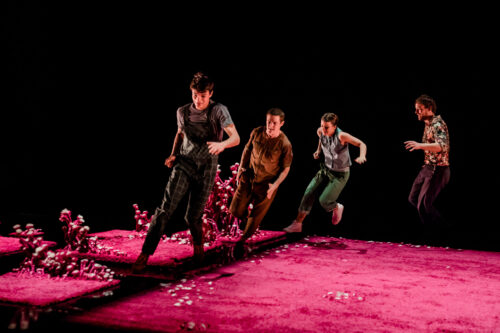 Le problème avec le rose - La Parenthèse - Christophe Garcia et le Petit Théâtre de Sherbrooke