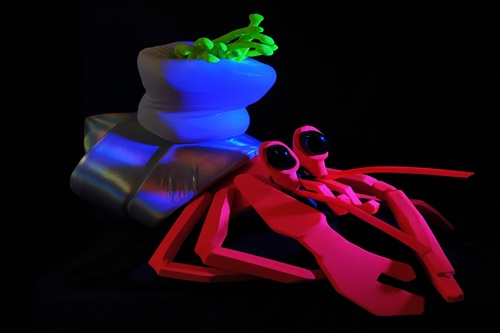 Coquille diamant - Marc de Blanchard - L'Armada Productions